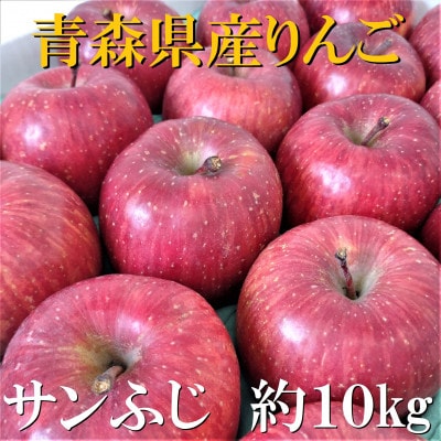 サンふじ　約10kg【津軽みらい農業協同組合の青森県産りんご】