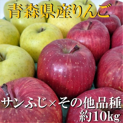 サンふじ×その他品種　約10kg【津軽みらい農業協同組合の青森県産りんご】
