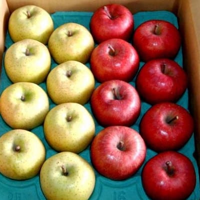 【青森県黒石市産】旬の品をお届け!品種おまかせりんご5kg