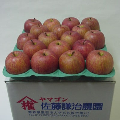 【青森県黒石市産】サンふじ りんご5kg