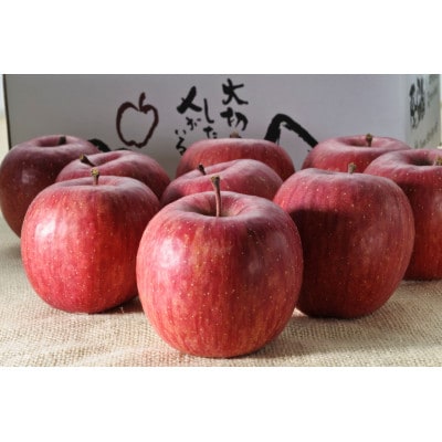 【りんごの代名詞】サンふじ贈答用品3kg