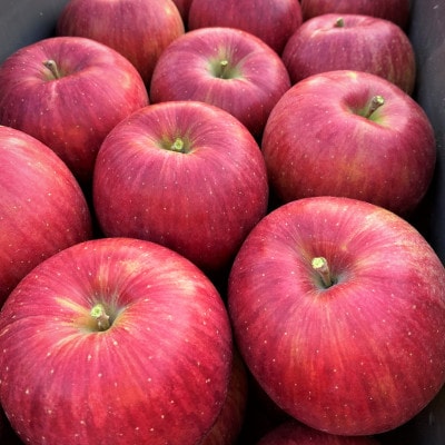 サクッと甘い!シナノスイート　青森県産りんご　約3kg(8個～12個)