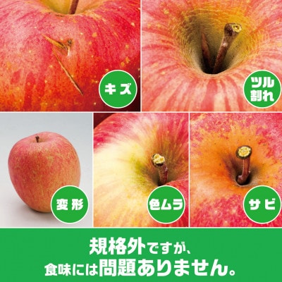 【2025年9月末～発送開始】内容量　約10Kg　訳ありりんご　早生ふじ　24～46個入【配送不可地域：離島・沖縄県】
