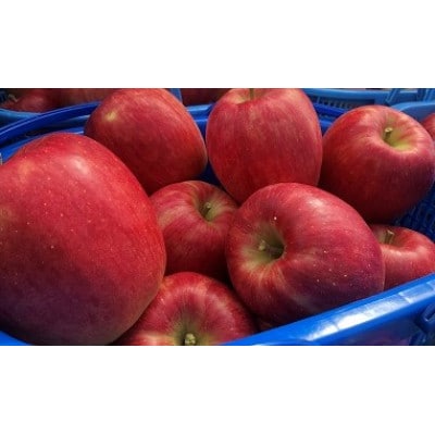 青森県産シナノドルチェ　贈答用約3kg　まだ暑い時期に、爽やかな酸味がぴったり!【配送不可地域：離島】