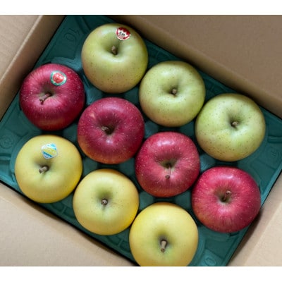 鎌田林檎園直送!　りんご3種詰め合わせセット　約3kg