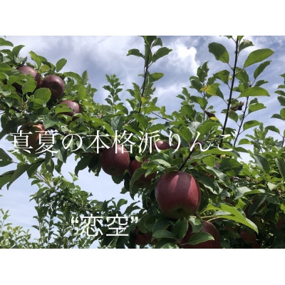 青森県産りんご、お盆に収穫・発送、真夏の本格派、恋空(こいぞら)　贈答用　5キロ　約18個入り【配送不可地域：離島】