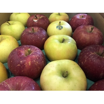 早生ふじ＆トキ　家庭用　約5キロ　中生種りんご　一押し詰合せ!　10月上旬から発送予定【配送不可地域：離島】