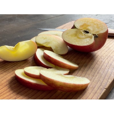 【訳あり】鎌田林檎園直送!太陽をいっぱい浴びたりんご 甘酸適和のサンふじ 5kg箱(14個～23個)