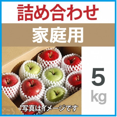 家庭用　りんご　ミックスおまかせ　約5kg
