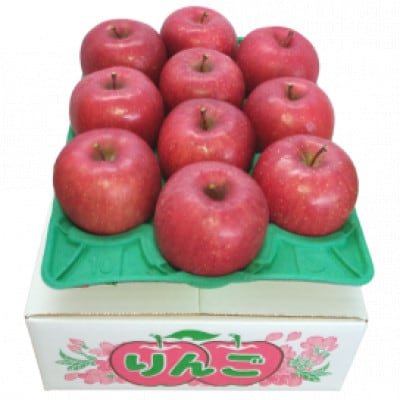 【2025年12月より順次発送】青森県黒石産 サンふじ約3kg