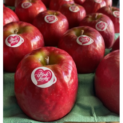 【極小サイズ】鎌田林檎園直送!　キュンとする爽快な酸味りんご!!希少品種　ピンクレディ 5キロ箱使用