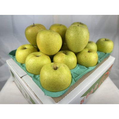 糖度保証!　訳あり品　王林　5kg(14個～23個)【令和7年12月下旬より順次発送】【配送不可地域：離島】