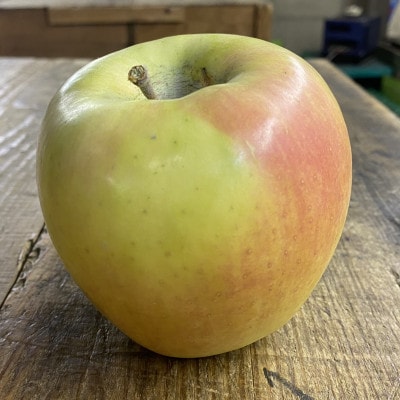 人気沸騰中　名月　訳あり品　5kg(13個～20個)【令和7年11月中旬より順次発送】【配送不可地域：離島】