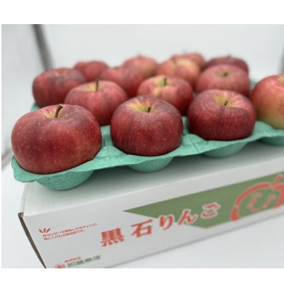 希少品種　大紅栄　訳あり品　5kg(10～16個入)【配送不可地域：離島】