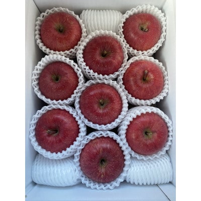 令和7年12月より順次発送　大人気な品種【サンふじ】贈答品　3kg(7～12個)