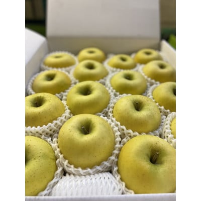 大人気青りんご「トキ」5kg箱(14～23個入り) 訳あり品【令和7年9月下旬より順次発送予定】