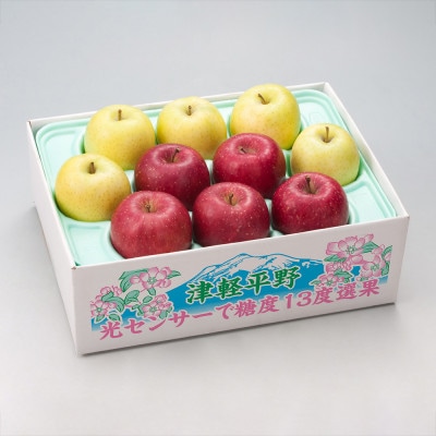 【令和7年産・先行予約】糖度13度選果 サンふじ＆王林 約2.5kg　鮮度保持剤・保存用ポリ袋付【配送不可地域：離島・沖縄県】