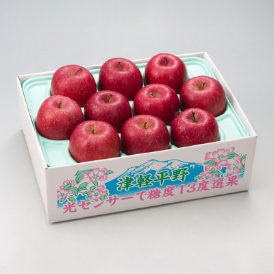 【令和7年産・先行予約】糖度13度選果 サンふじ 約2.5kg 鮮度保持剤・保存用ポリ袋付【配送不可地域：離島・沖縄県】