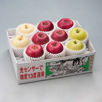 令和7年産先行予約・糖度13度選果 サンふじ＆王林＆金星りんご3種 約2.5kg鮮度保持剤・保存袋付【配送不可地域：離島・沖縄県】