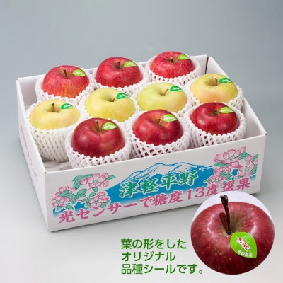 【令和7年産・先行予約】糖度13度選果 シナノスイート＆名月＆サンふじ りんご3種 約2.5kg【配送不可地域：離島・沖縄県】