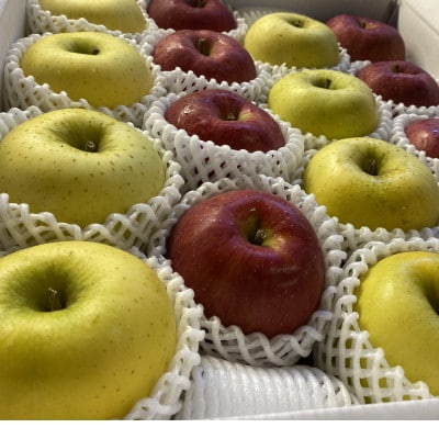 サンふじ＆名月 ギフトセット 化粧箱入 約3kg(8～12個)