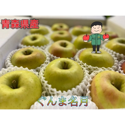 サンふじ＆名月 ギフトセット 化粧箱入 約5kg(14～20個)