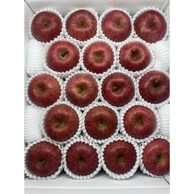 糖度保証選果!特選 サンふじ 5kg(14～20個)