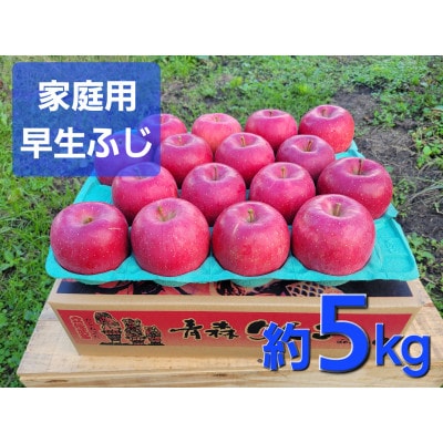 【訳あり】青森県産りんご「早生ふじ 家庭用」約5kg　産地直送!