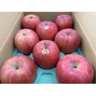 ひと足早く『ふじ』を楽しむ。早生ふじ　大玉　贈答用　約3キロ　農家直送　青森りんご