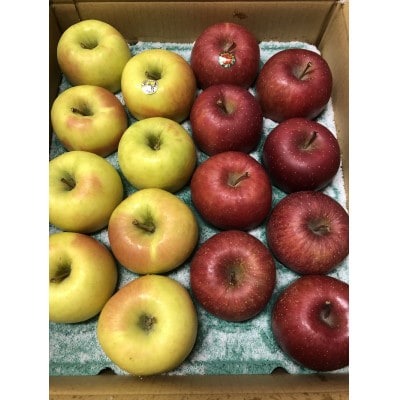 サンふじ＆ぐんま名月【贈答用】約5キロ　農家直送　青森県産りんご