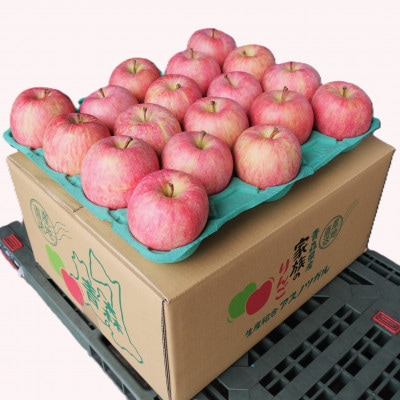 【黒石市産】 糖度13度以上 有袋ふじ訳ありりんご 約10kg【配送不可地域：離島・沖縄県】