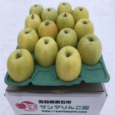 農家直送　青森県産　王林　家庭用　約5kg(18個前後入り)　甘い青りんごの定番