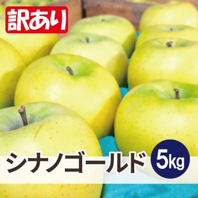 平均糖度13度以上! シナノゴールド 約5kg 訳あり【配送不可地域：沖縄県】