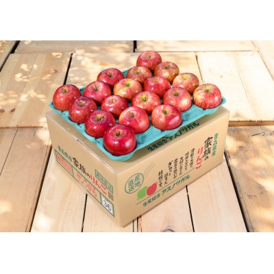 【25年9月より順次発送】平均糖度12度以上! 葉とらずサンつがる 約3kg 訳あり  クール便【配送不可地域：離島・沖縄県】