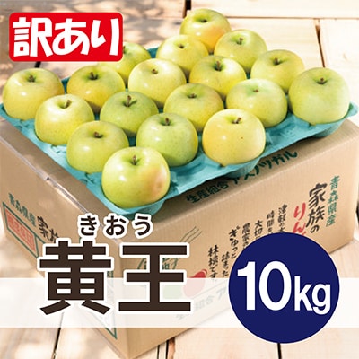 【25年9月より順次発送】平均糖度12度以上! 黄王 約10kg 訳あり  クール便【配送不可地域：離島・沖縄県】