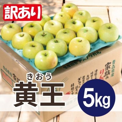 【25年9月より順次発送】平均糖度12度以上! 黄王 約5kg 訳あり  クール便【配送不可地域：離島・沖縄県】