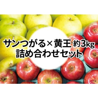 【25年8月より順次発送】糖度12度以上保証! 黄王×サンつがる 約3kg 訳あり  クール便【配送不可地域：離島・沖縄県】