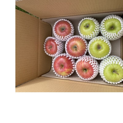 青森県黒石市産　サンふじ×サンむつ　家庭用　約3kg(約7～12玉)