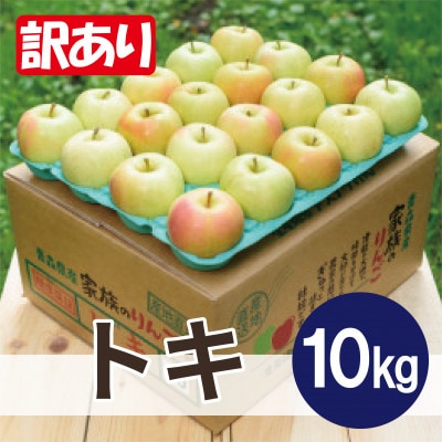 【25年10月出荷】平均糖度12度以上! トキ 約10kg 訳あり【配送不可地域：離島・沖縄県】