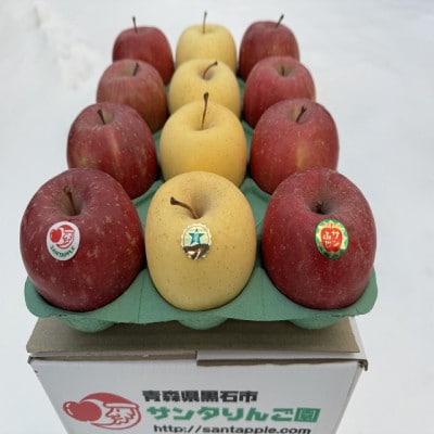 サンふじ＆金星(きんせい)　家庭用　3キロ　紅白りんごの詰合せ　祝事やお正月に