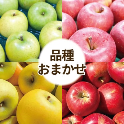 青森県産 りんご 品種おまかせ 約2kg 訳あり お試しサイズ【配送不可地域：離島・沖縄県】