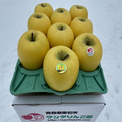 蔵出し春りんご　シナノゴールド　約3キロ　パリッと食感に、マイルドな酸味　農家直送青森りんご　【配送不可地域：離島】