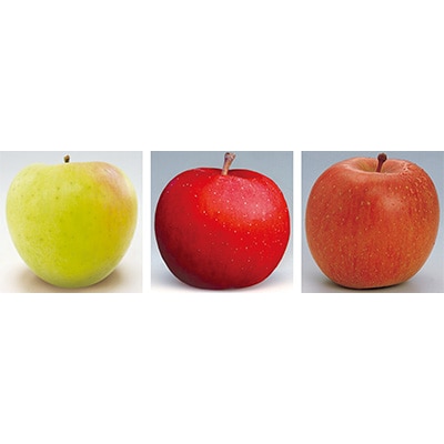 【発送月固定定期便】R7年11月発送開始 青森県産りんご　月替わりでお届けします全3回【配送不可地域：離島・沖縄県】