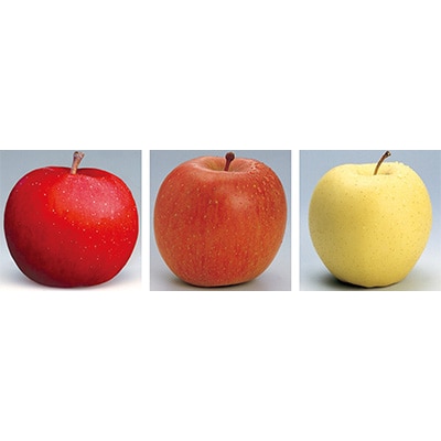 【発送月固定定期便】R7年12月発送開始 青森県産りんご　月替わりでお届けします全3回【配送不可地域：離島・沖縄県】