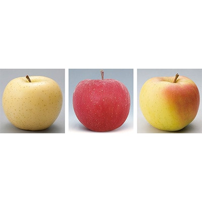 【発送月固定定期便】R7年9月発送開始　青森県産りんご　月替わりでお届けします全3回【配送不可地域：離島・沖縄県】