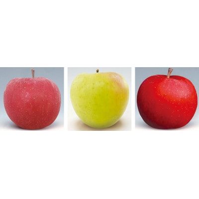 【発送月固定定期便】R7年10月発送開始　青森県産りんご　月替わりでお届けします全3回【配送不可地域：離島・沖縄県】