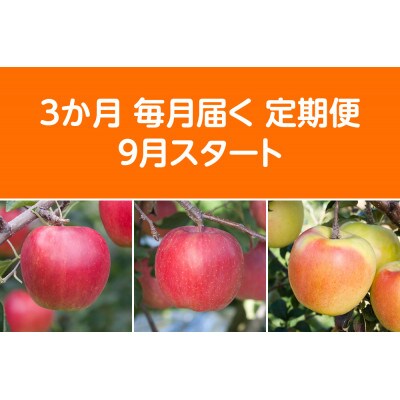 【発送月固定定期便】〈2025年9月より順次発送〉青森県産りんご約5kg 全3回【配送不可地域：離島・沖縄県】