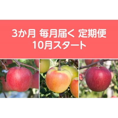 【発送月固定定期便】〈2025年10月より順次発送〉甘味系・青森県産りんご約5kg 全3回【配送不可地域：離島・沖縄県】