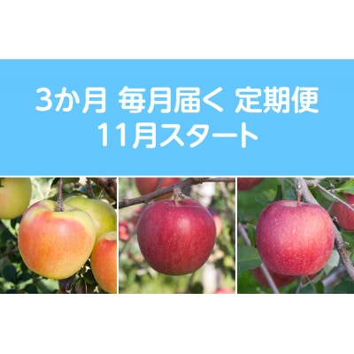 【発送月固定定期便】〈2025年11月より順次発送〉甘味系・青森県産りんご約5kg 全3回【配送不可地域：離島・沖縄県】