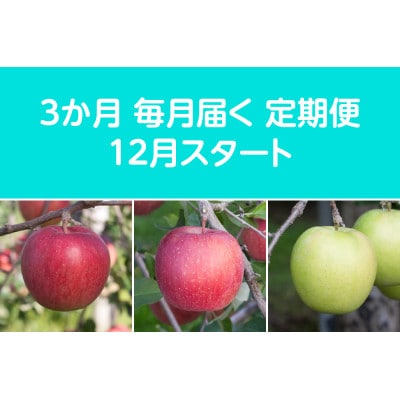 【発送月固定定期便】〈2025年12月より順次発送〉甘味系・青森県産りんご約5kg 全3回【配送不可地域：離島・沖縄県】